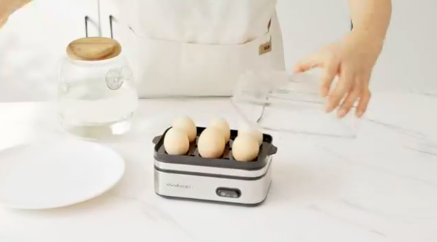Best Electric Egg Cookers