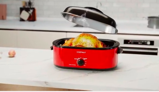 Best Electric Turkey Roasters